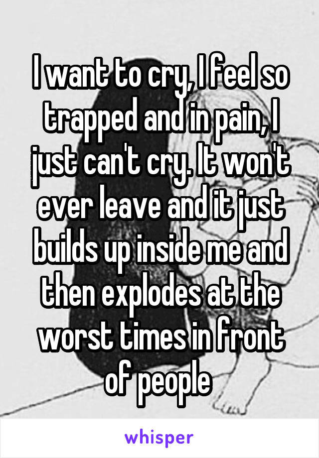 I want to cry, I feel so trapped and in pain, I just can't cry. It won't ever leave and it just builds up inside me and then explodes at the worst times in front of people 