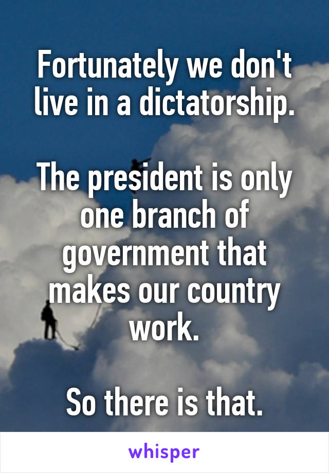 Fortunately we don't live in a dictatorship.

The president is only one branch of government that makes our country work.

So there is that.