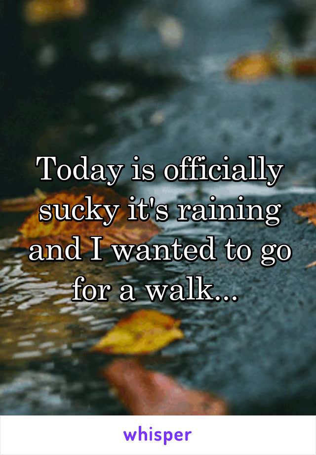 Today is officially sucky it's raining and I wanted to go for a walk... 