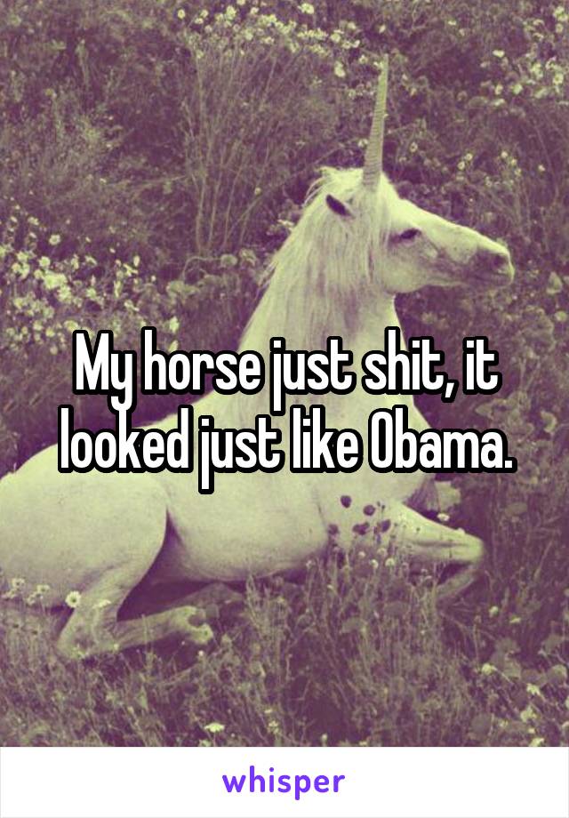 My horse just shit, it looked just like Obama.