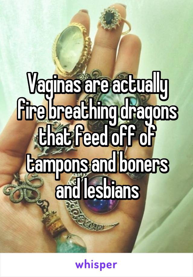 Vaginas are actually fire breathing dragons that feed off of tampons and boners and lesbians