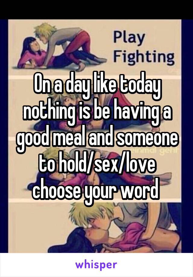 On a day like today nothing is be having a good meal and someone to hold/sex/love choose your word 