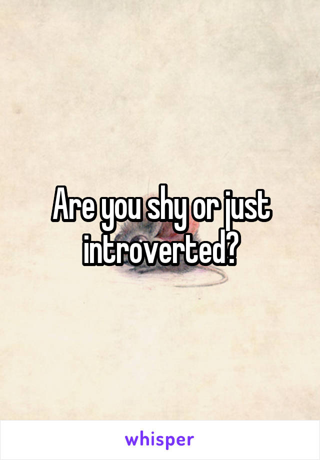 Are you shy or just introverted?