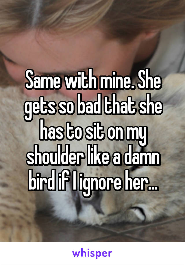 Same with mine. She gets so bad that she has to sit on my shoulder like a damn bird if I ignore her...