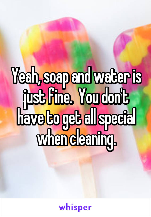 Yeah, soap and water is just fine.  You don't have to get all special when cleaning.