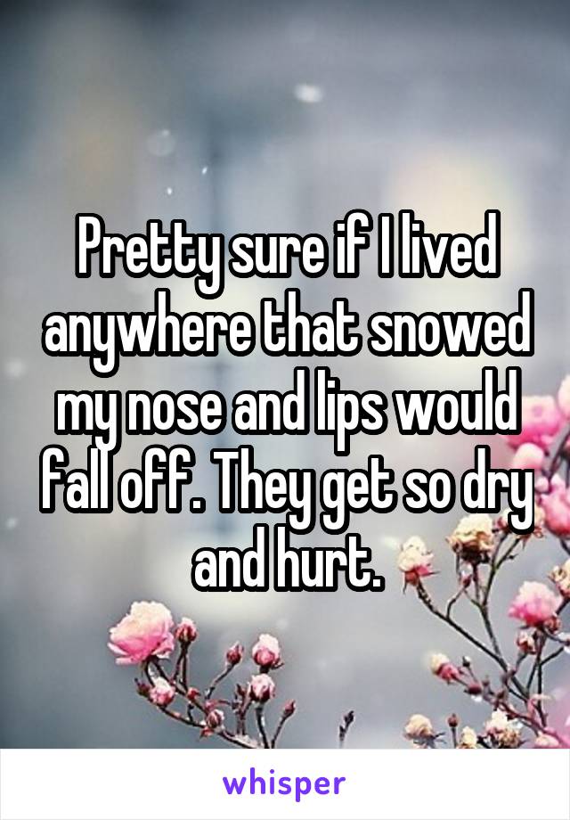 Pretty sure if I lived anywhere that snowed my nose and lips would fall off. They get so dry and hurt.