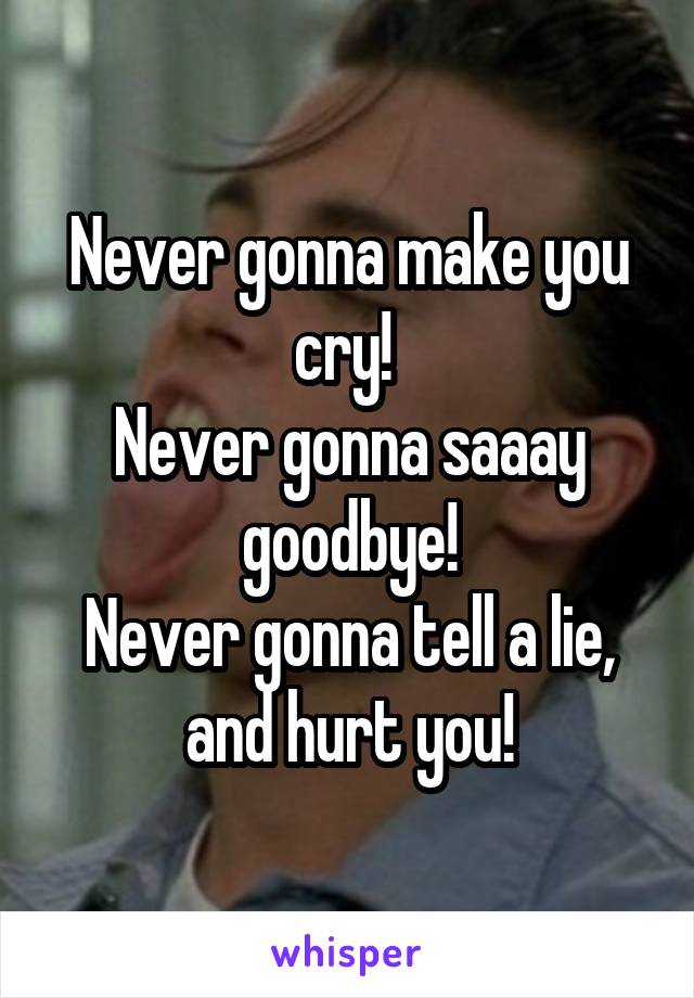 Never gonna make you cry! 
Never gonna saaay goodbye!
Never gonna tell a lie, and hurt you!