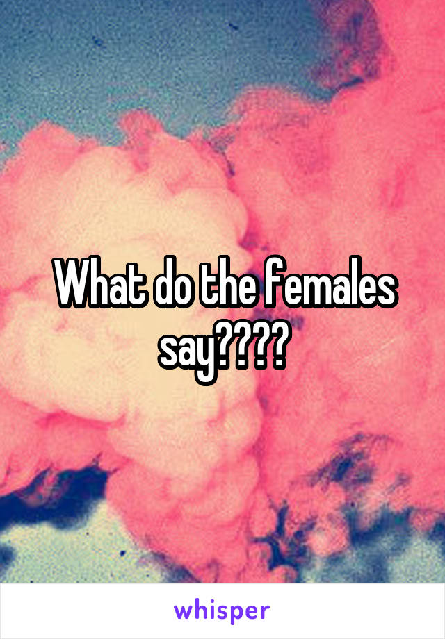 What do the females say????