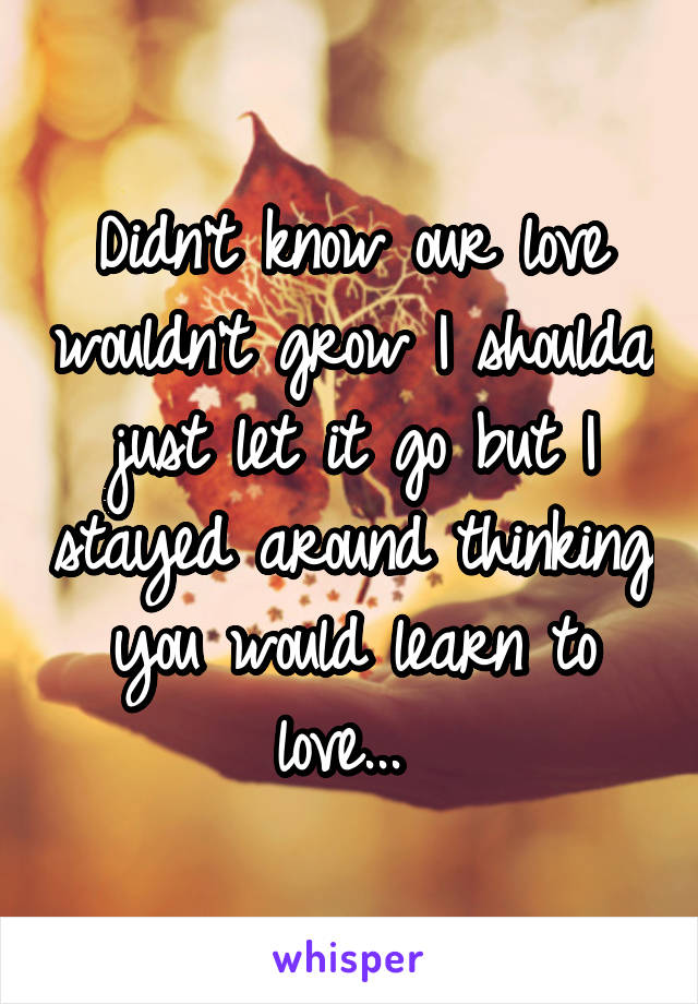 Didn't know our love wouldn't grow I shoulda just let it go but I stayed around thinking you would learn to love... 