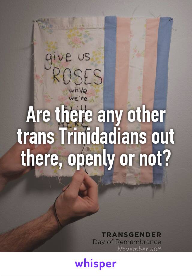 Are there any other trans Trinidadians out there, openly or not?