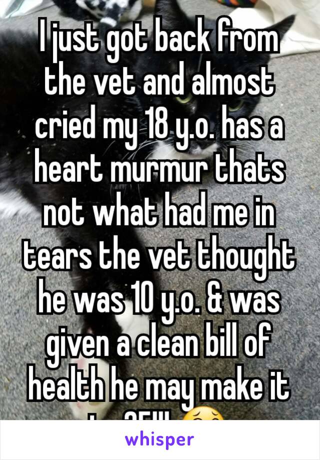 I just got back from the vet and almost cried my 18 y.o. has a heart murmur thats not what had me in tears the vet thought he was 10 y.o. & was given a clean bill of health he may make it to 25!!! 😂