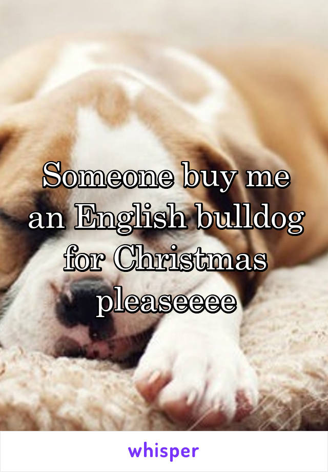 Someone buy me an English bulldog for Christmas pleaseeee