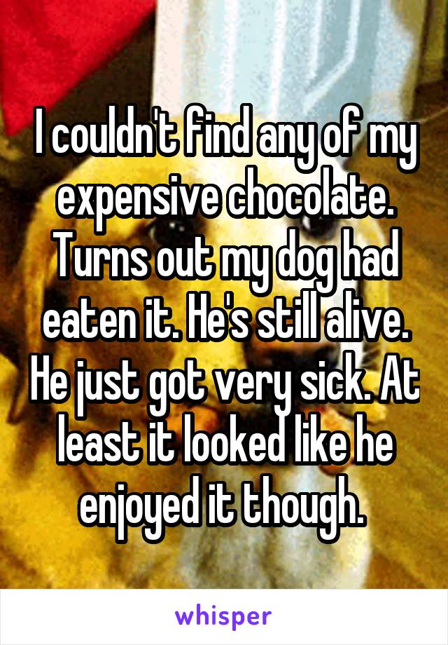 I couldn't find any of my expensive chocolate. Turns out my dog had eaten it. He's still alive. He just got very sick. At least it looked like he enjoyed it though. 