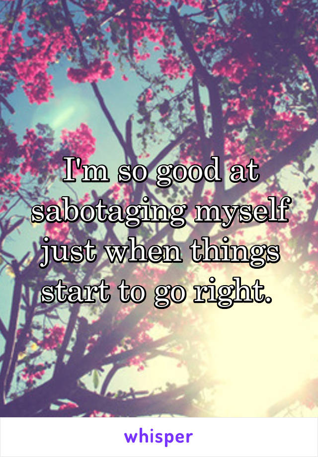 I'm so good at sabotaging myself just when things start to go right. 