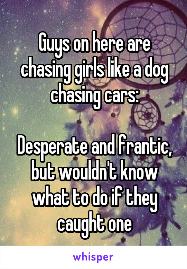 Guys on here are chasing girls like a dog chasing cars:

Desperate and frantic, but wouldn't know what to do if they caught one