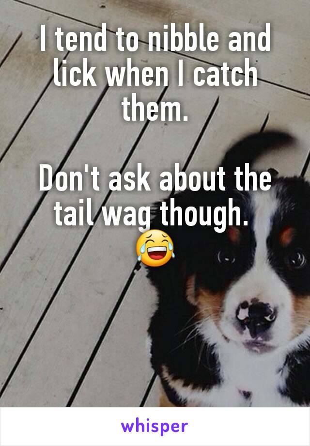 I tend to nibble and lick when I catch them.

Don't ask about the tail wag though. 
😂