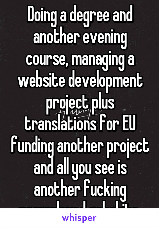 Doing a degree and another evening course, managing a website development project plus translations for EU funding another project and all you see is another fucking unemployed gobshite.