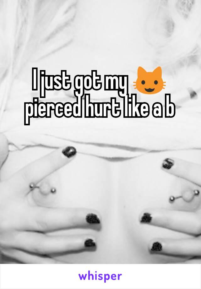 I just got my 😺 pierced hurt like a b
