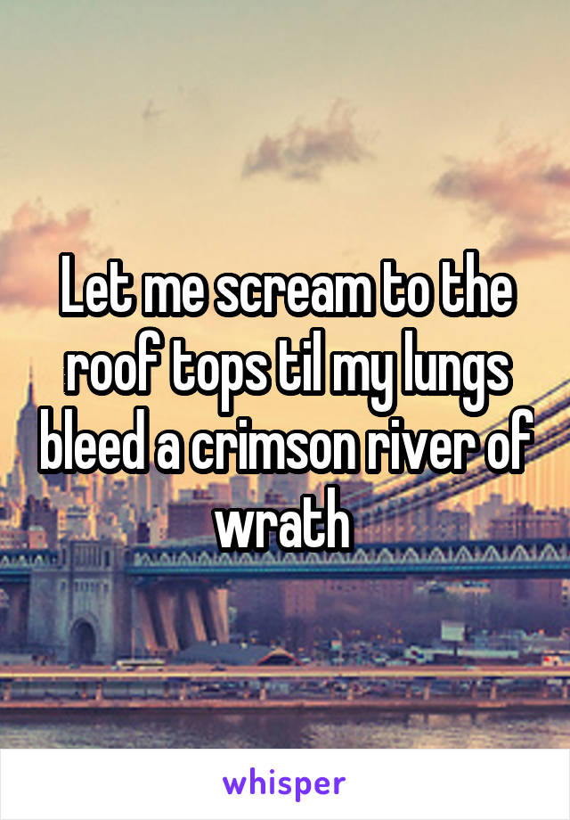 Let me scream to the roof tops til my lungs bleed a crimson river of wrath 