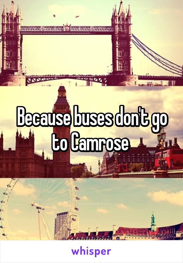 Because buses don't go to Camrose 