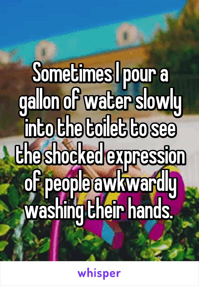 Sometimes I pour a gallon of water slowly into the toilet to see the shocked expression of people awkwardly washing their hands. 