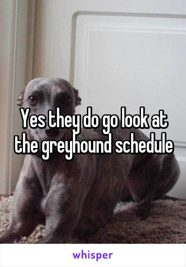 Yes they do go look at the greyhound schedule