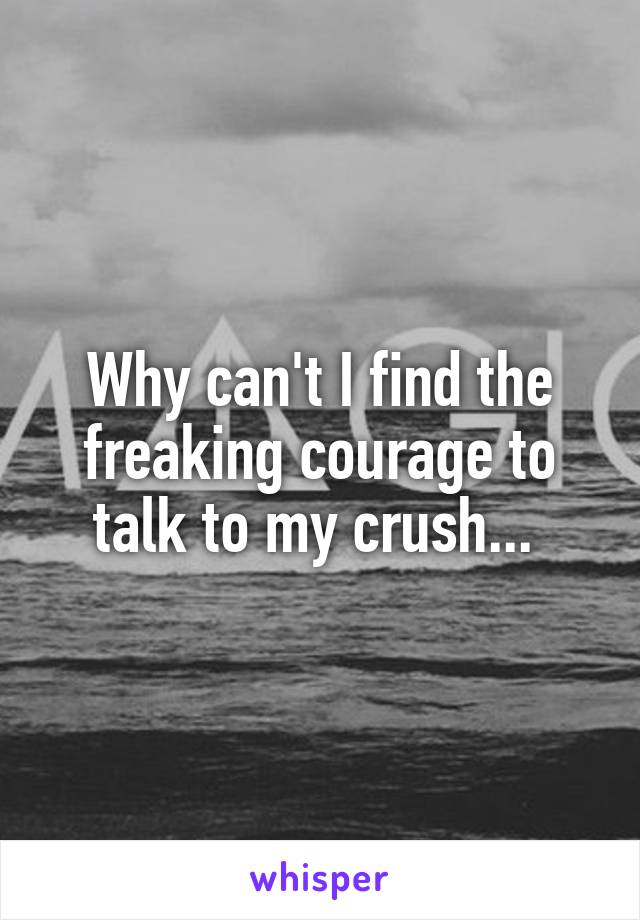 Why can't I find the freaking courage to talk to my crush... 