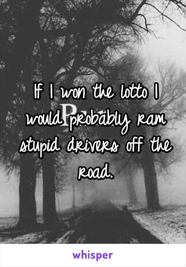 If I won the lotto I would probably ram stupid drivers off the road.