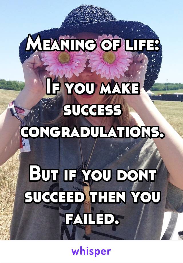 Meaning of life:

If you make success congradulations.

But if you dont succeed then you failed.