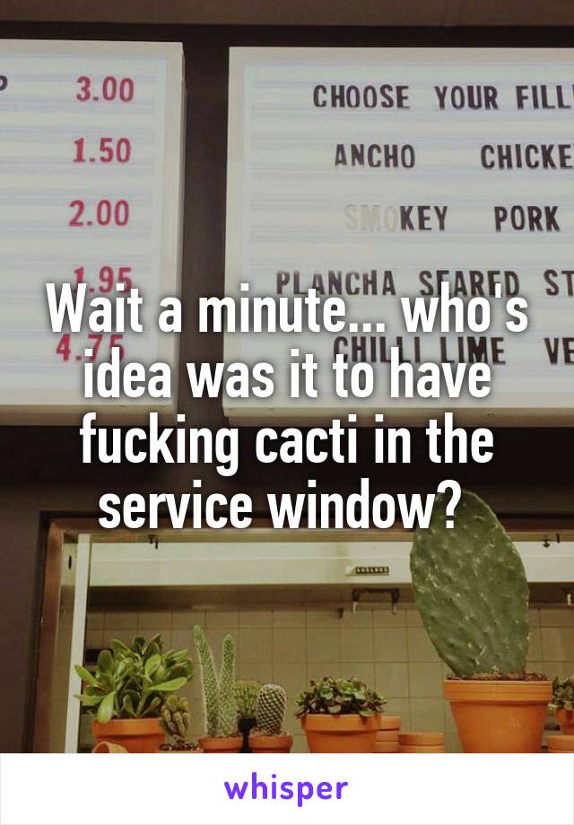 Wait a minute... who's idea was it to have fucking cacti in the service window? 