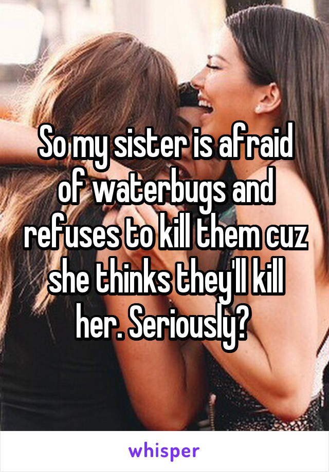 So my sister is afraid of waterbugs and refuses to kill them cuz she thinks they'll kill her. Seriously? 