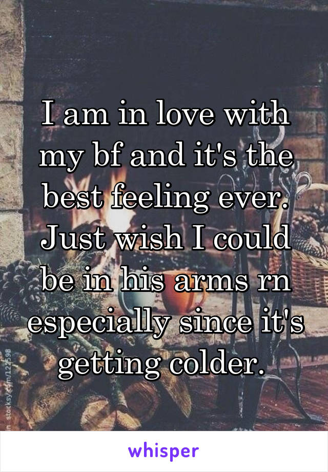 I am in love with my bf and it's the best feeling ever. Just wish I could be in his arms rn especially since it's getting colder. 