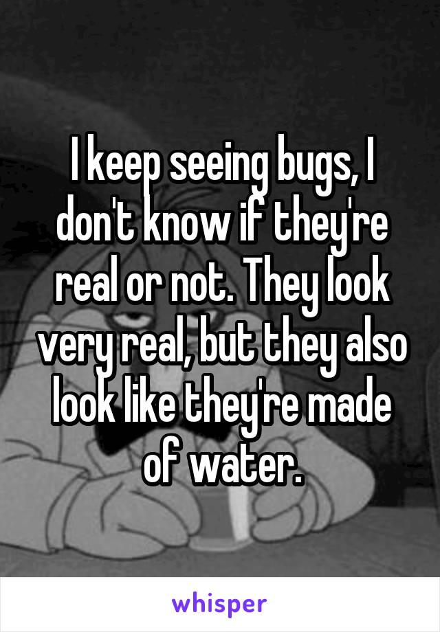 I keep seeing bugs, I don't know if they're real or not. They look very real, but they also look like they're made of water.