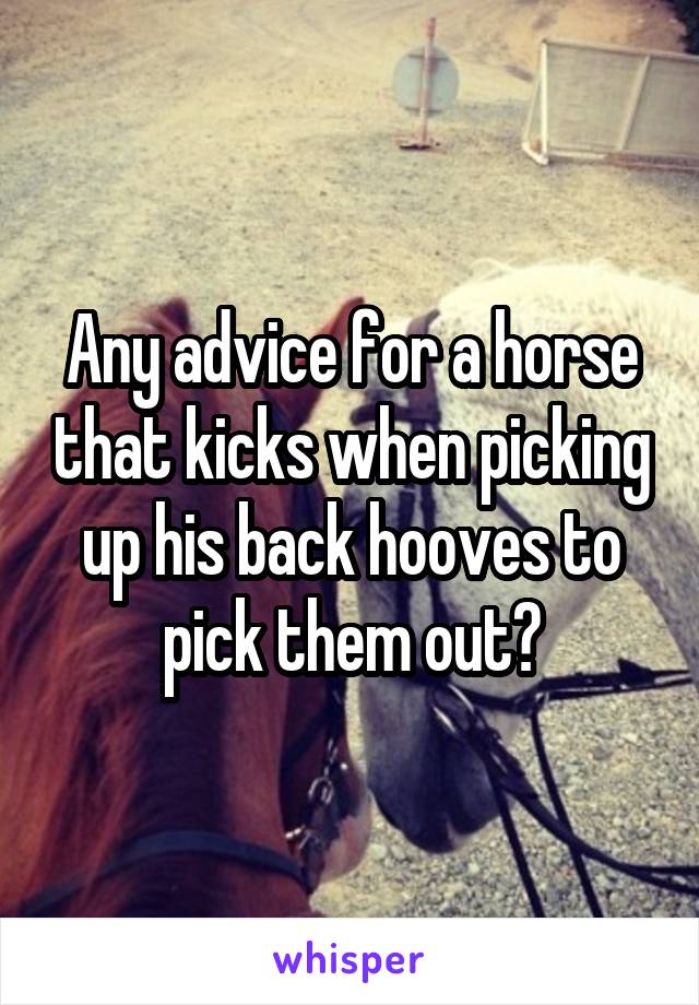 Any advice for a horse that kicks when picking up his back hooves to pick them out?