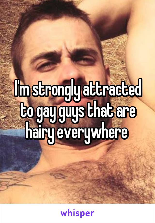 I'm strongly attracted to gay guys that are hairy everywhere 