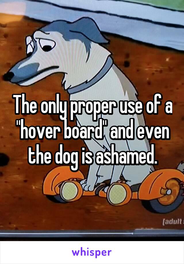 The only proper use of a "hover board" and even the dog is ashamed.