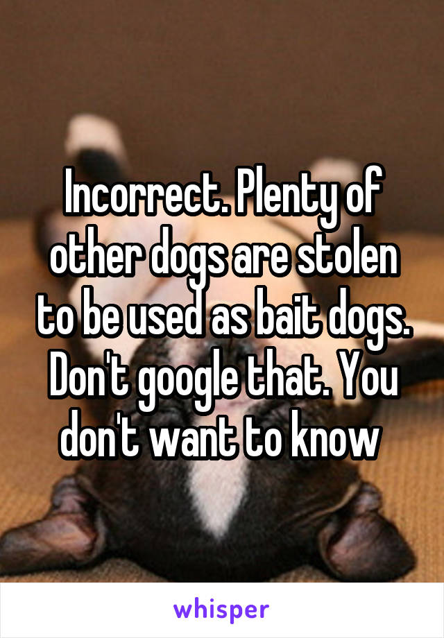 Incorrect. Plenty of other dogs are stolen to be used as bait dogs. Don't google that. You don't want to know 