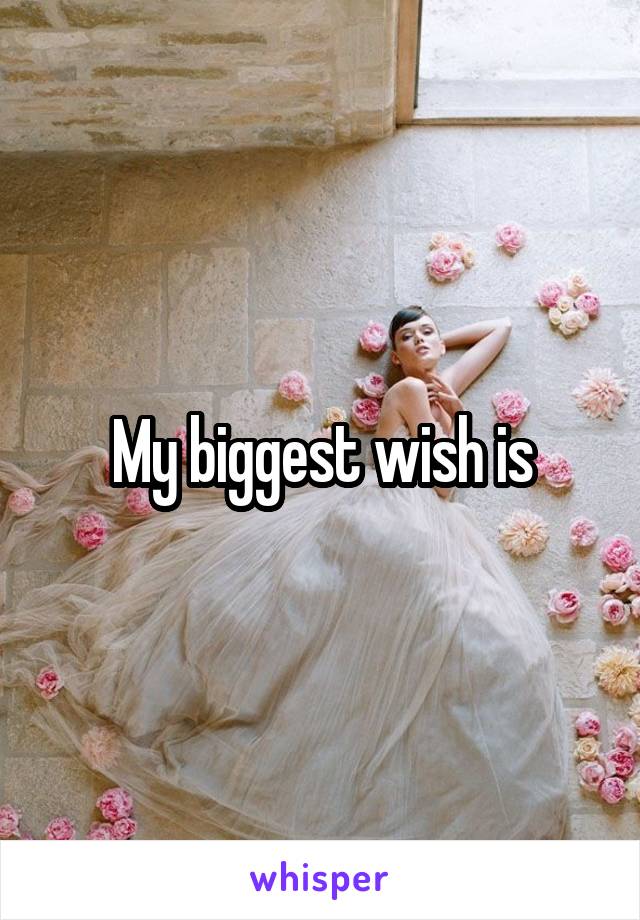 My biggest wish is