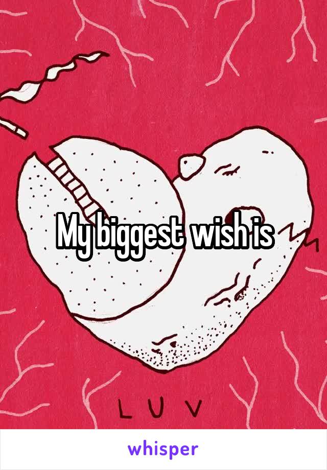 My biggest wish is