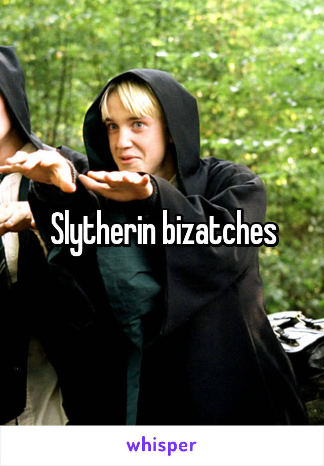 Slytherin bizatches