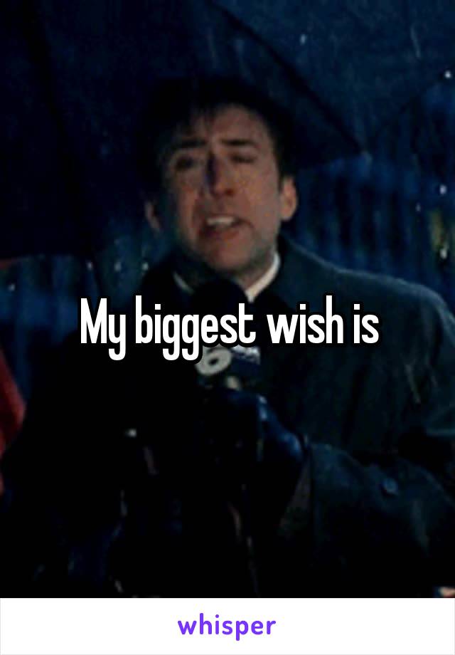 My biggest wish is