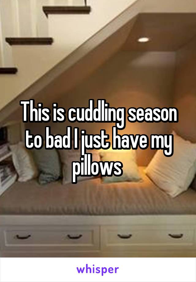 This is cuddling season to bad I just have my pillows 