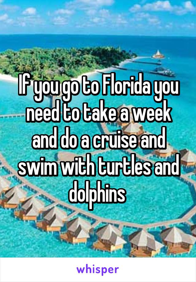 If you go to Florida you need to take a week and do a cruise and swim with turtles and dolphins 