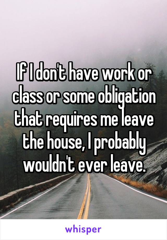 If I don't have work or class or some obligation that requires me leave the house, I probably wouldn't ever leave.