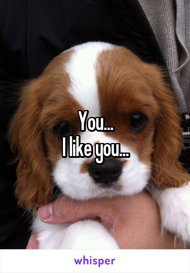 You...
I like you...