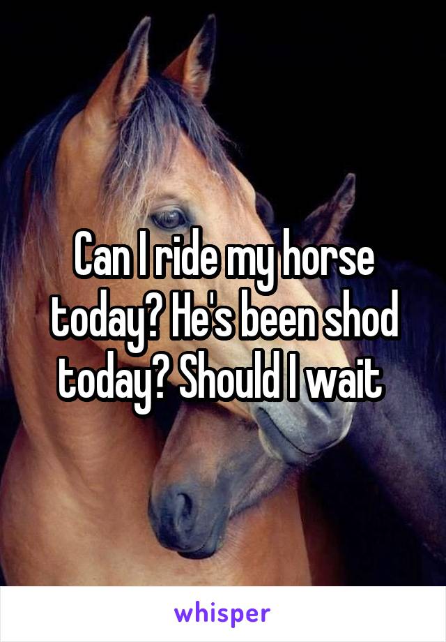 Can I ride my horse today? He's been shod today? Should I wait 