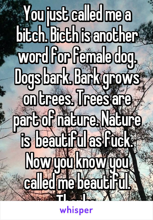 You just called me a bitch. Bicth is another word for female dog. Dogs bark. Bark grows on trees. Trees are part of nature. Nature is  beautiful as fuck. Now you know you called me beautiful. Thanks.