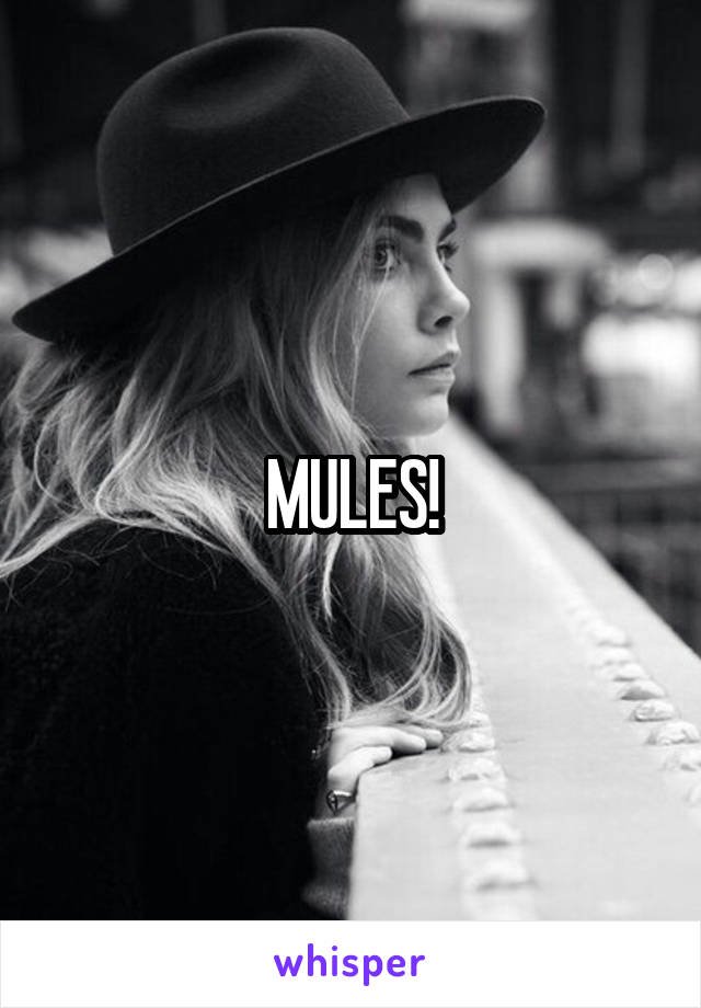 MULES!