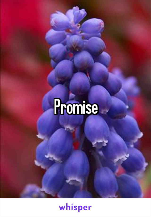 Promise