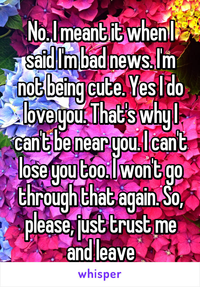 No. I meant it when I said I'm bad news. I'm not being cute. Yes I do love you. That's why I can't be near you. I can't lose you too. I won't go through that again. So, please, just trust me and leave